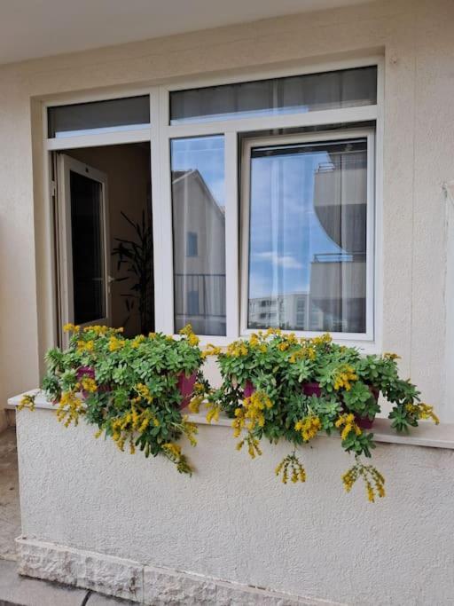 Holiday Home Apartment Budva Buitenkant foto