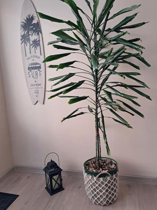 Holiday Home Apartment Budva Buitenkant foto